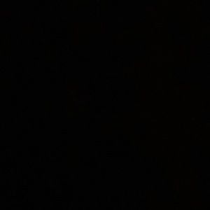 Meet your Posher, Lily